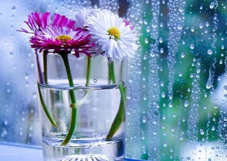  عادت عشق‌ورزیدن