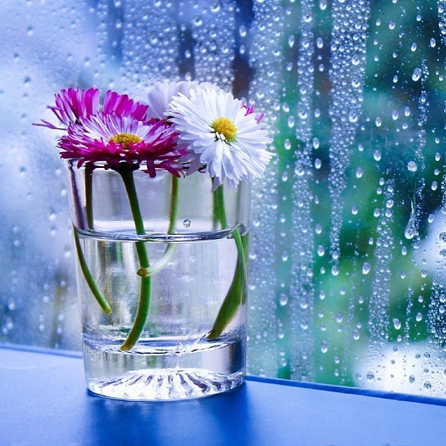 عادت عشقورزیدن